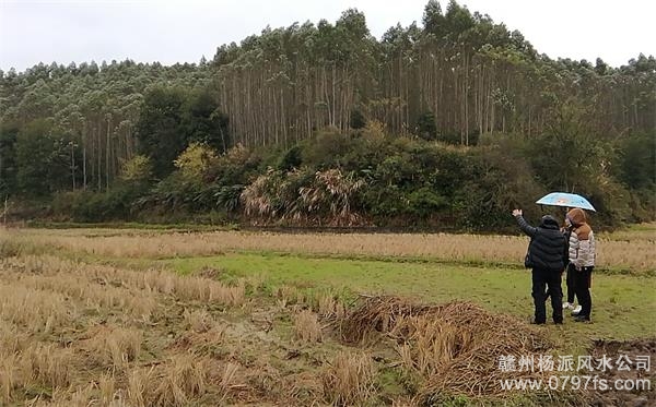 镇江陈老师带着爱徒寻龙点穴